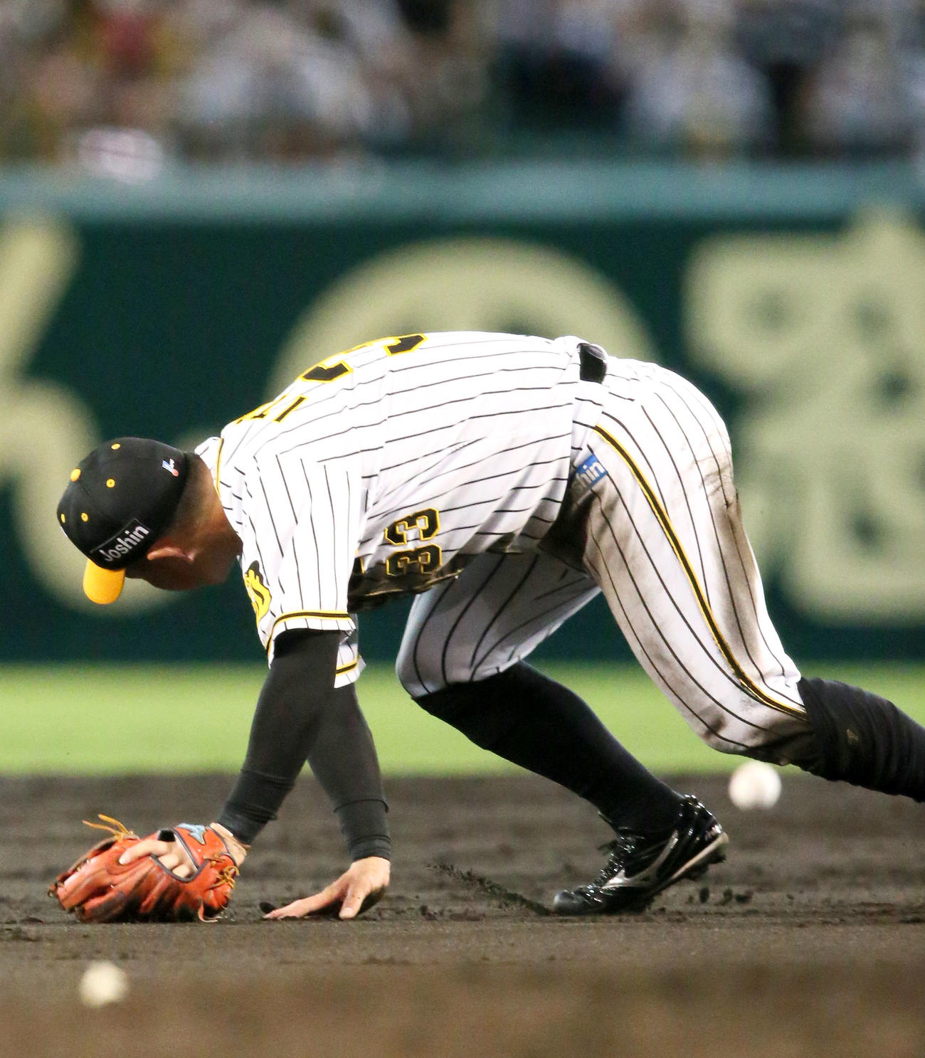 阪神対巨人　2回表巨人1死二、三塁、二塁手糸原は大城の打球を取り逃し中前2点適時打となる（撮影・上山淳一）