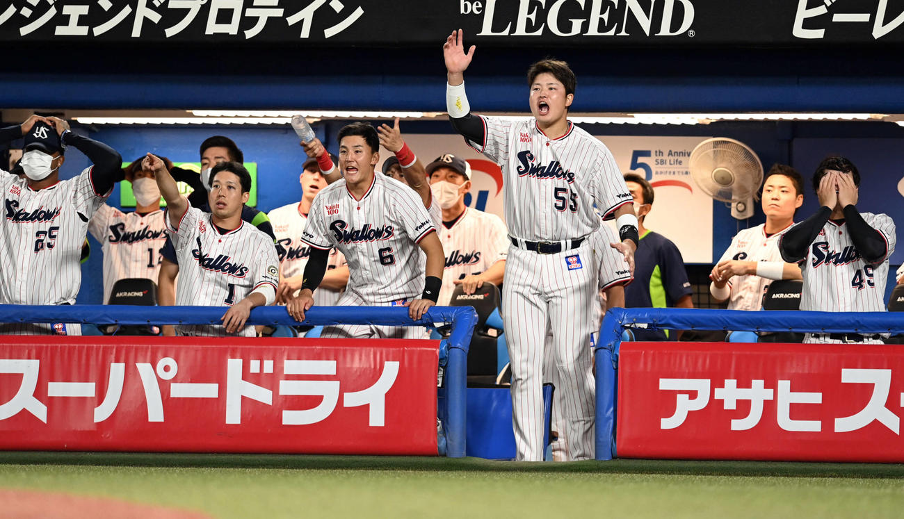 ヤクルト対広島　9回裏ヤクルト2死一、二塁、山崎のハーフスイングの判定に「振ってない」とアピールする村上（中央）らヤクルトベンチ（撮影・たえ見朱実）