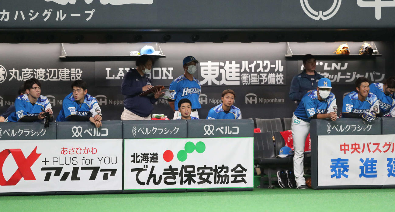 日本ハム対ロッテ　ベンチで試合を見つめる日本ハムナイン（撮影・黒川智章）
