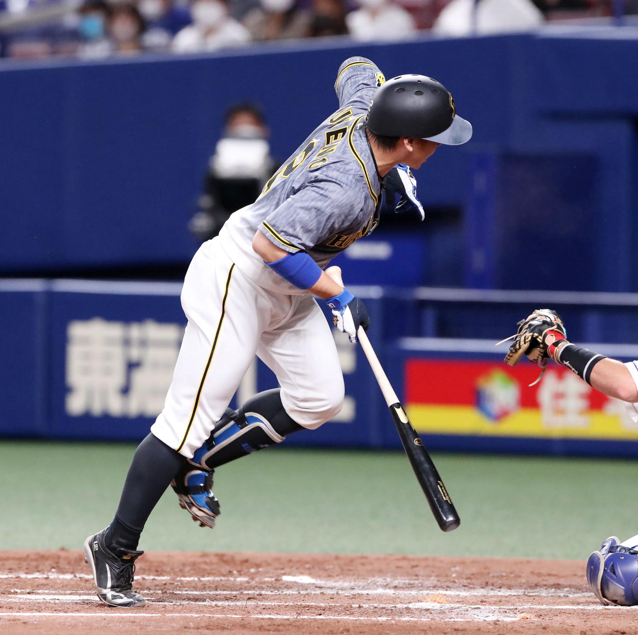 中日対阪神　3回表阪神無死、梅野は死球を受け出塁（撮影・加藤哉）