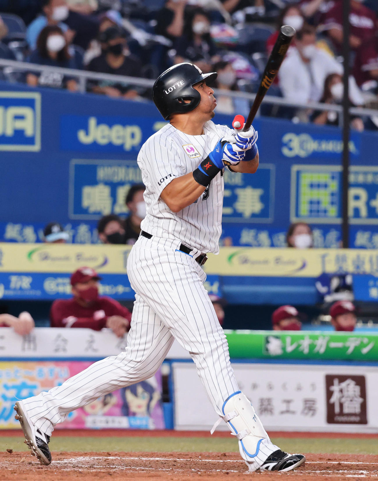 ロッテ・マーティン（2021年9月11日撮影）