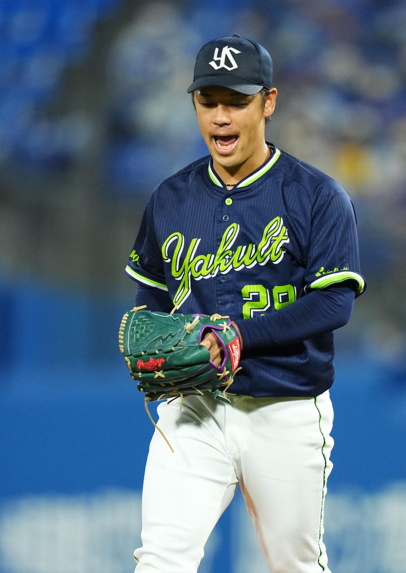 DeNA対ヤクルト　6回裏を無失点に抑えほえるヤクルト小川（撮影・横山健太）