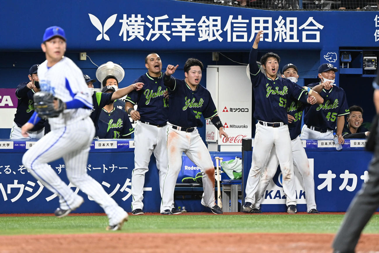 DeNA対ヤクルト　9回表ヤクルト2死一、二塁、元山の安打でベンチを飛び出する村上（中央）らヤクルトの選手たち。左は本塁ベースカバーに走る山崎（撮影・山崎安昭）