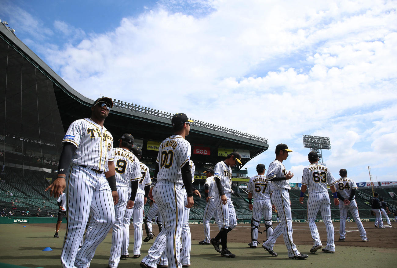 ウエスタン・リーグ阪神対オリックス　試合に向け準備する阪神ナイン（撮影・上山淳一）