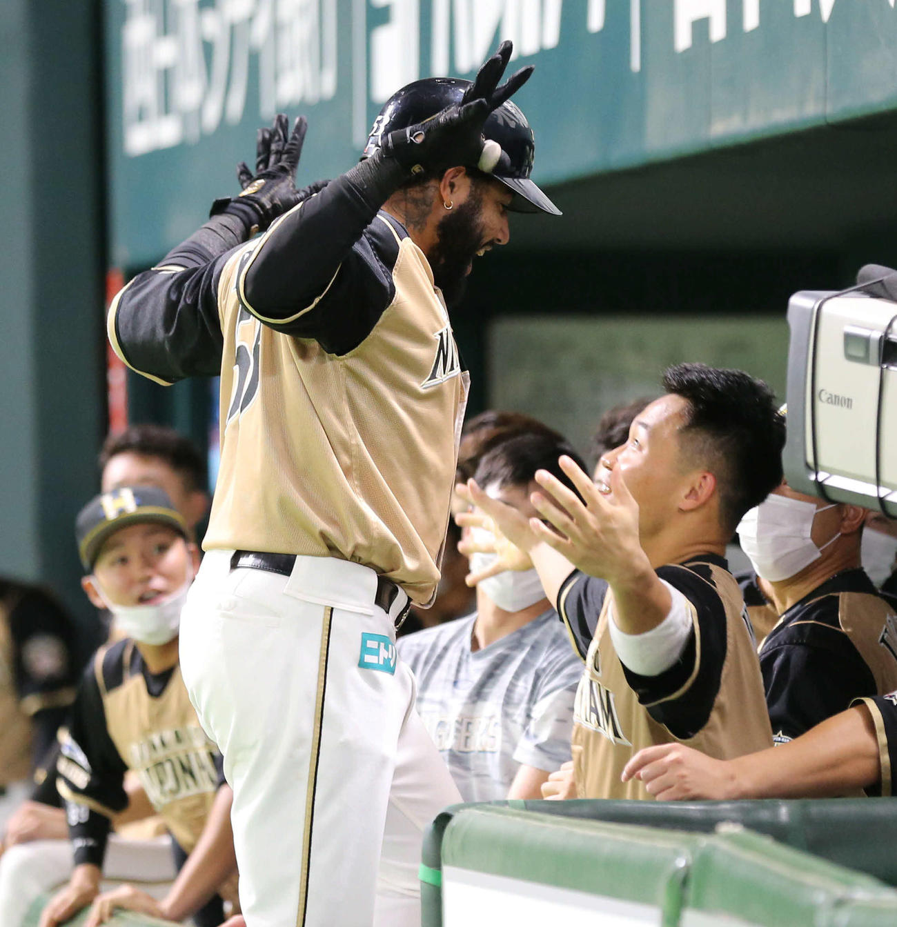 ソフトバンク対日本ハム　5回表日本ハム1四、ロドリゲスは左越えに先制本塁打を放ちベンチのナインとハイタッチ（撮影・梅根麻紀）