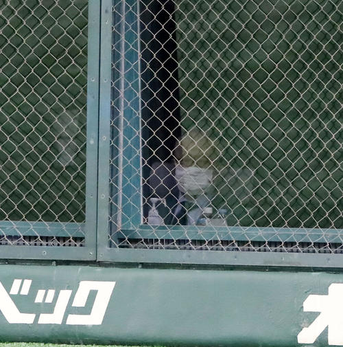 巨人対阪神　5回表、ネット裏から観戦する長嶋終身名誉監督（撮影・加藤哉）