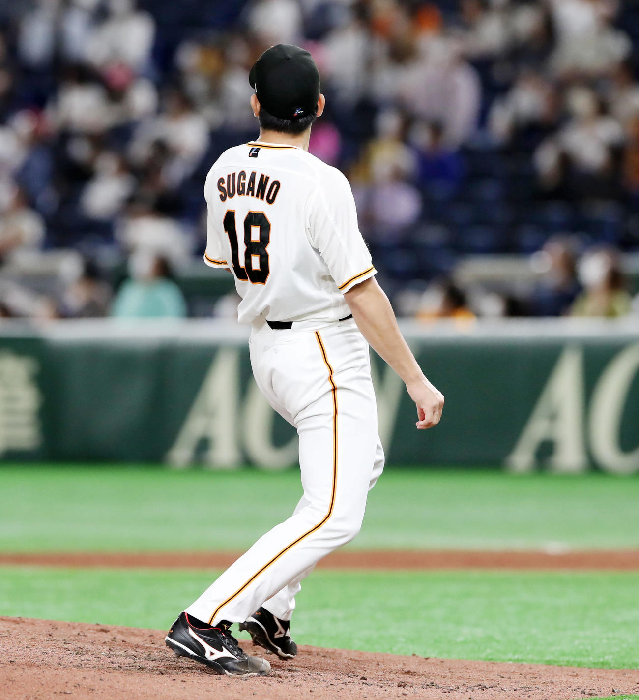 巨人対阪神　7回表阪神1死、菅野は糸原の右越え本塁打を見つめる（撮影・加藤哉）