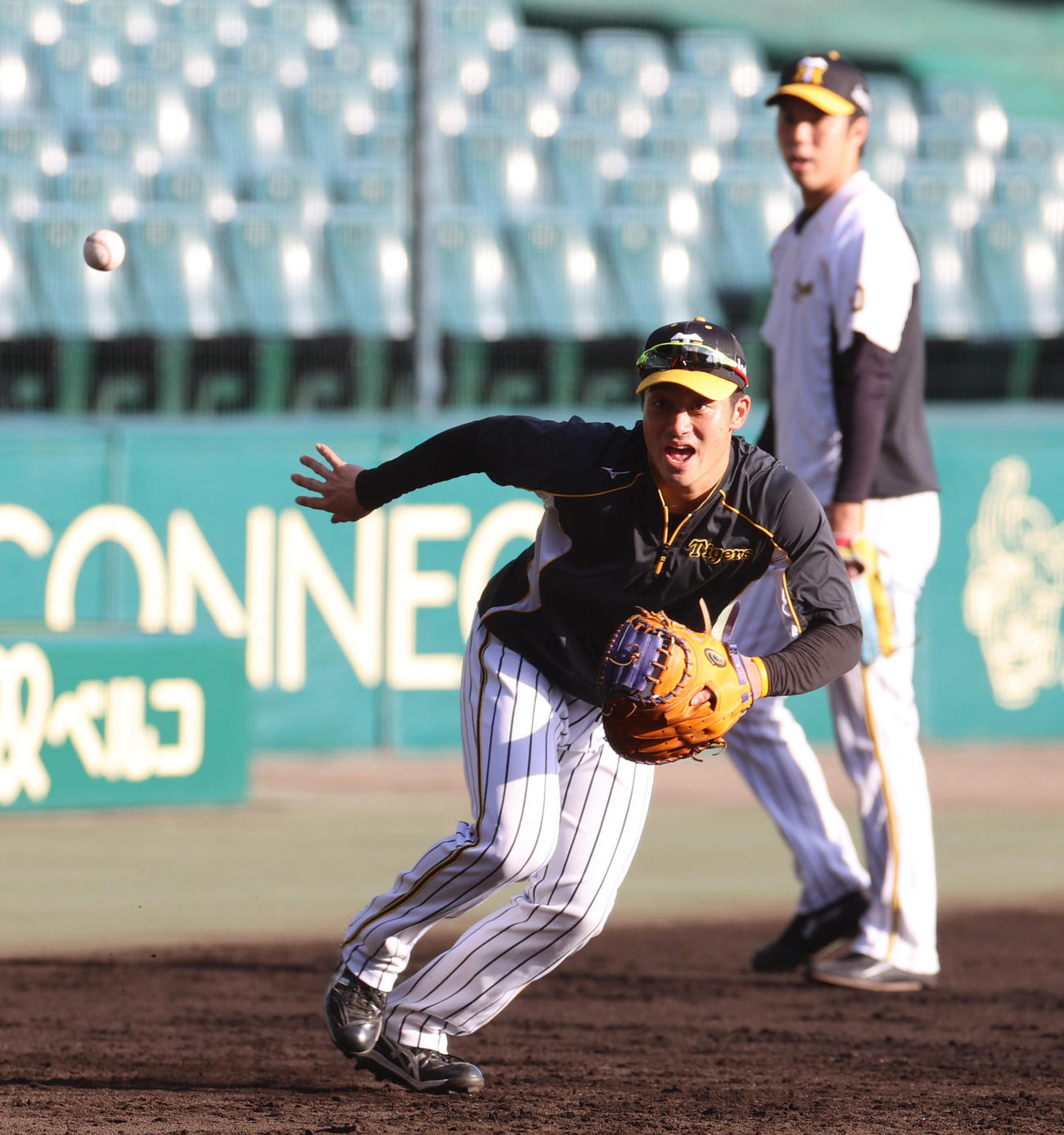 ノックを受ける坂本誠志郎（2020年11月15日撮影）
