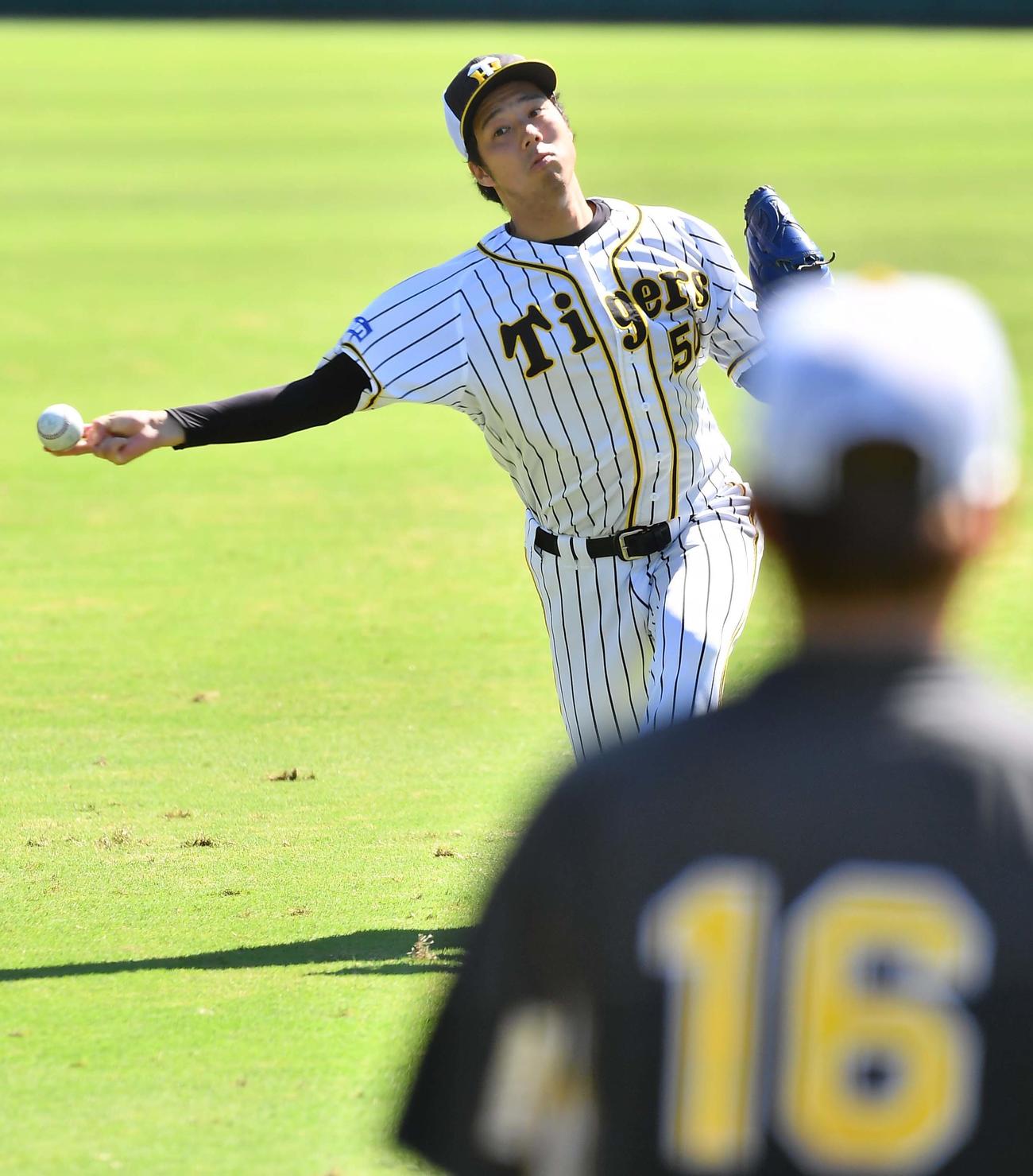 西勇とキャッチボールをする青柳（撮影・上田博志）