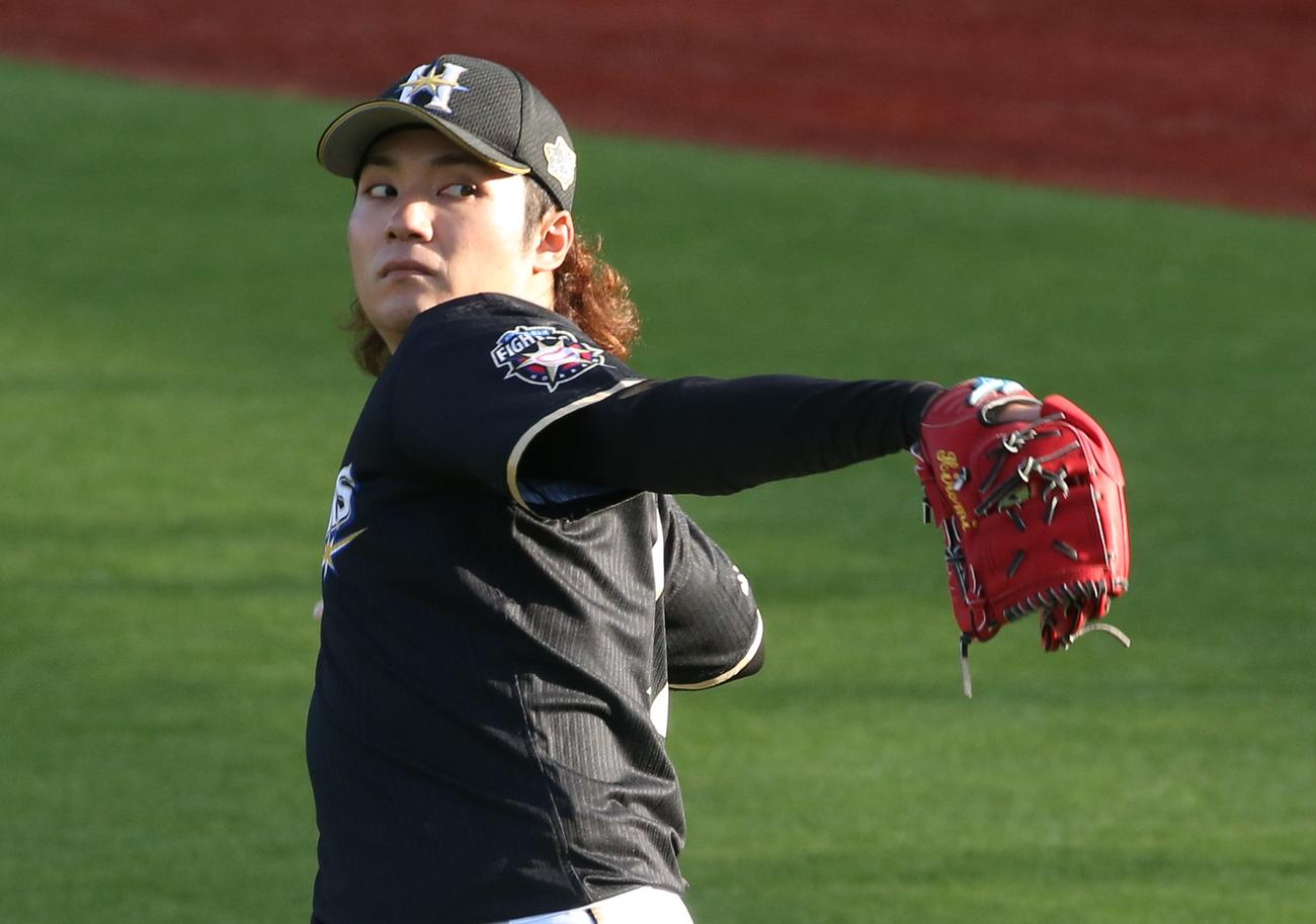 キャッチボールする日本ハム伊藤（撮影・黒川智章）