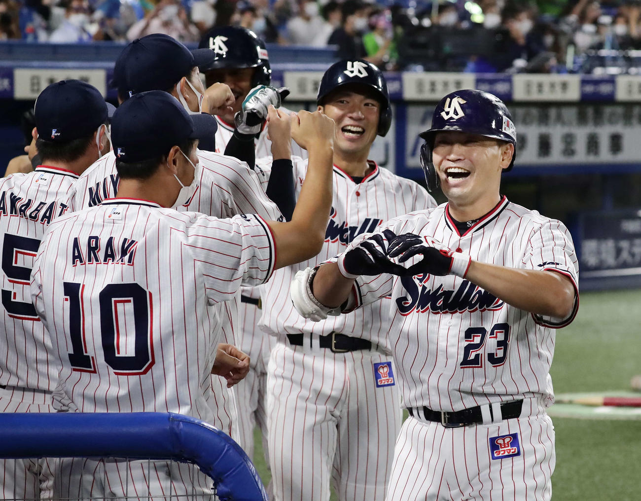 ヤクルト対DeNA 5回裏ヤクルト2死満塁、青木は本塁打を放ってベンチ前でナインの祝福を受ける（撮影・丹羽敏通）