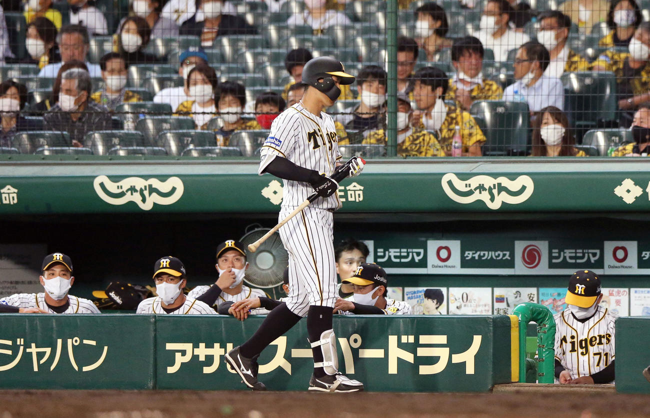 5回裏阪神無死、佐藤輝明は一ゴロに倒れベンチへ引き揚げる（撮影・上山淳一）