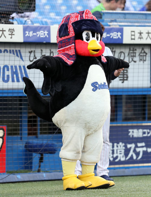 ヤクルト対DeNA 試合前、パイロットハットをかぶりポーズをとるつば九郎(撮影・浅見桂子)