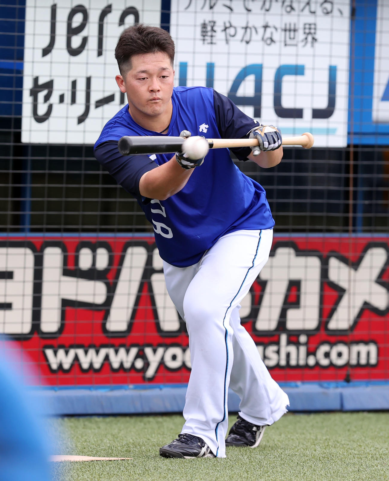 ヤクルト対DeNA　バント練習するDeNA牧（撮影・浅見桂子）