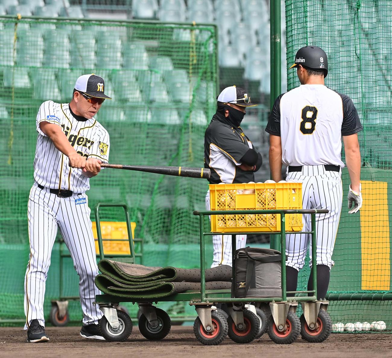 阪神対広島　佐藤輝（右）に打撃指導をする井上ヘッドコーチ（撮影・上田博志）
