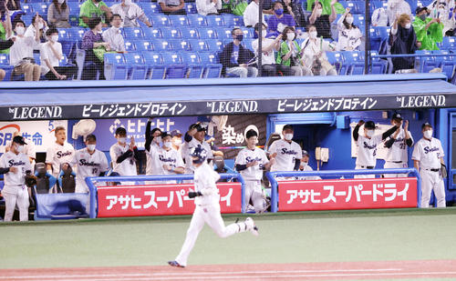 ヤクルト対DeNA 3回裏ヤクルト2死一、二塁、山田（手前）が3点本塁打を放ち、盛り上がるヤクルトベンチ（撮影・狩俣裕三）