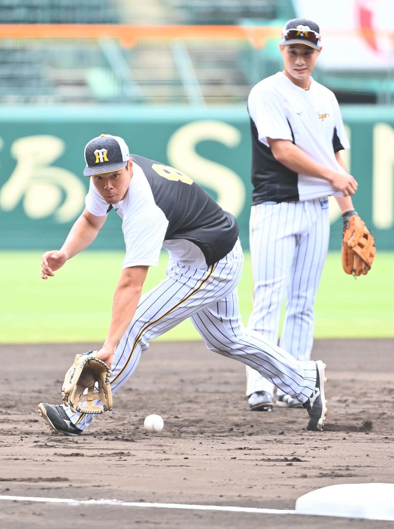 阪神対広島　3塁ノックを受ける佐藤輝（撮影・上田博志）