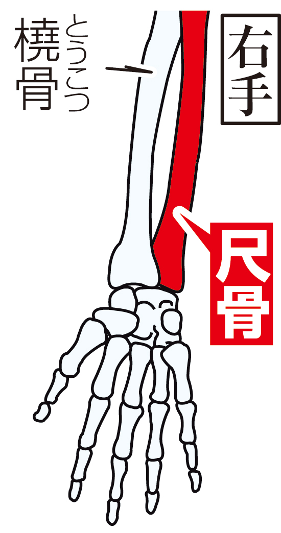 オリックス吉田尚正の骨折箇所