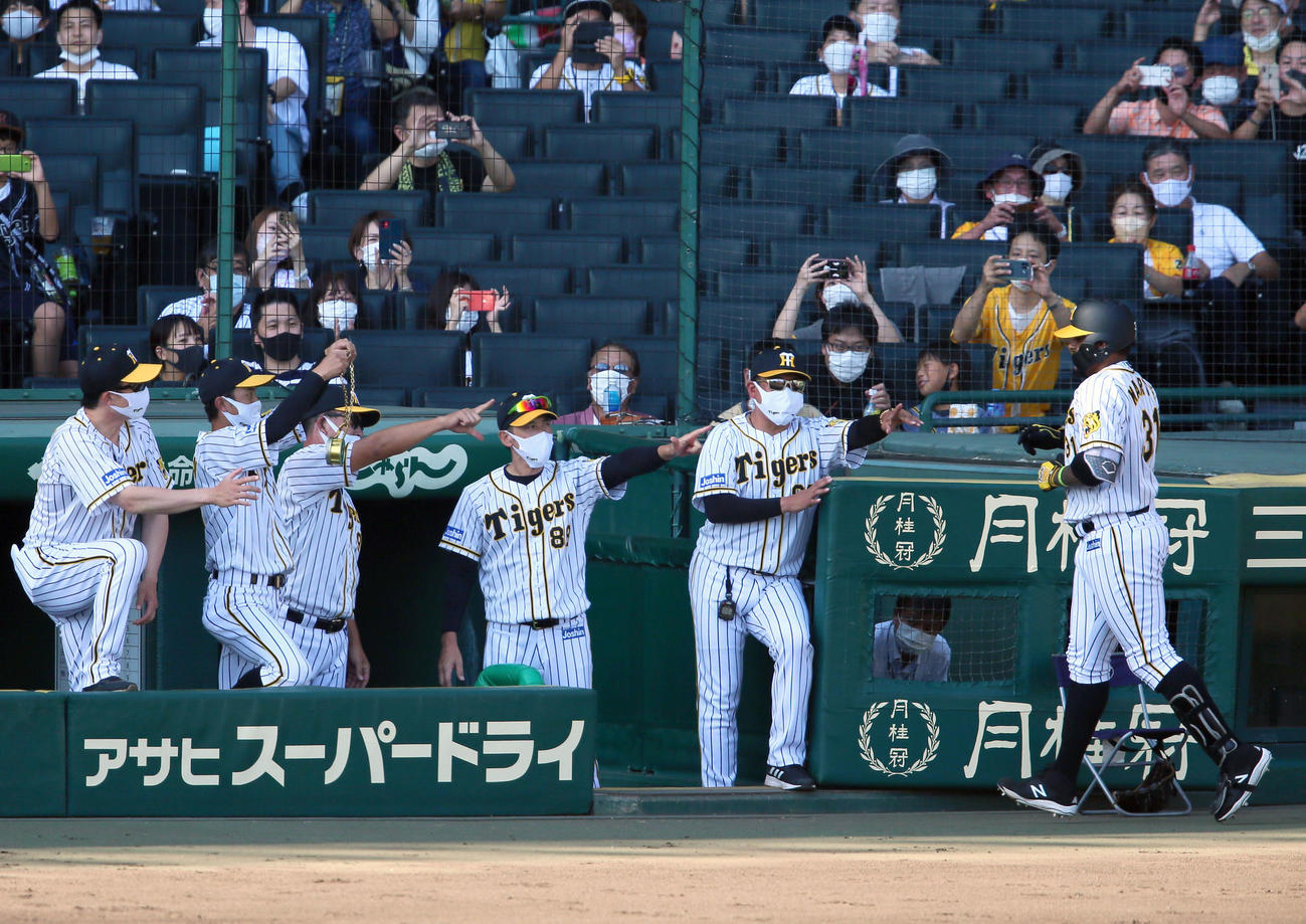 阪神対中日　3回裏阪神2死、マルテ（右）は先制の左越え本塁打を放ち、矢野監督（左から4人目）らから出迎えられる（撮影・上山淳一）