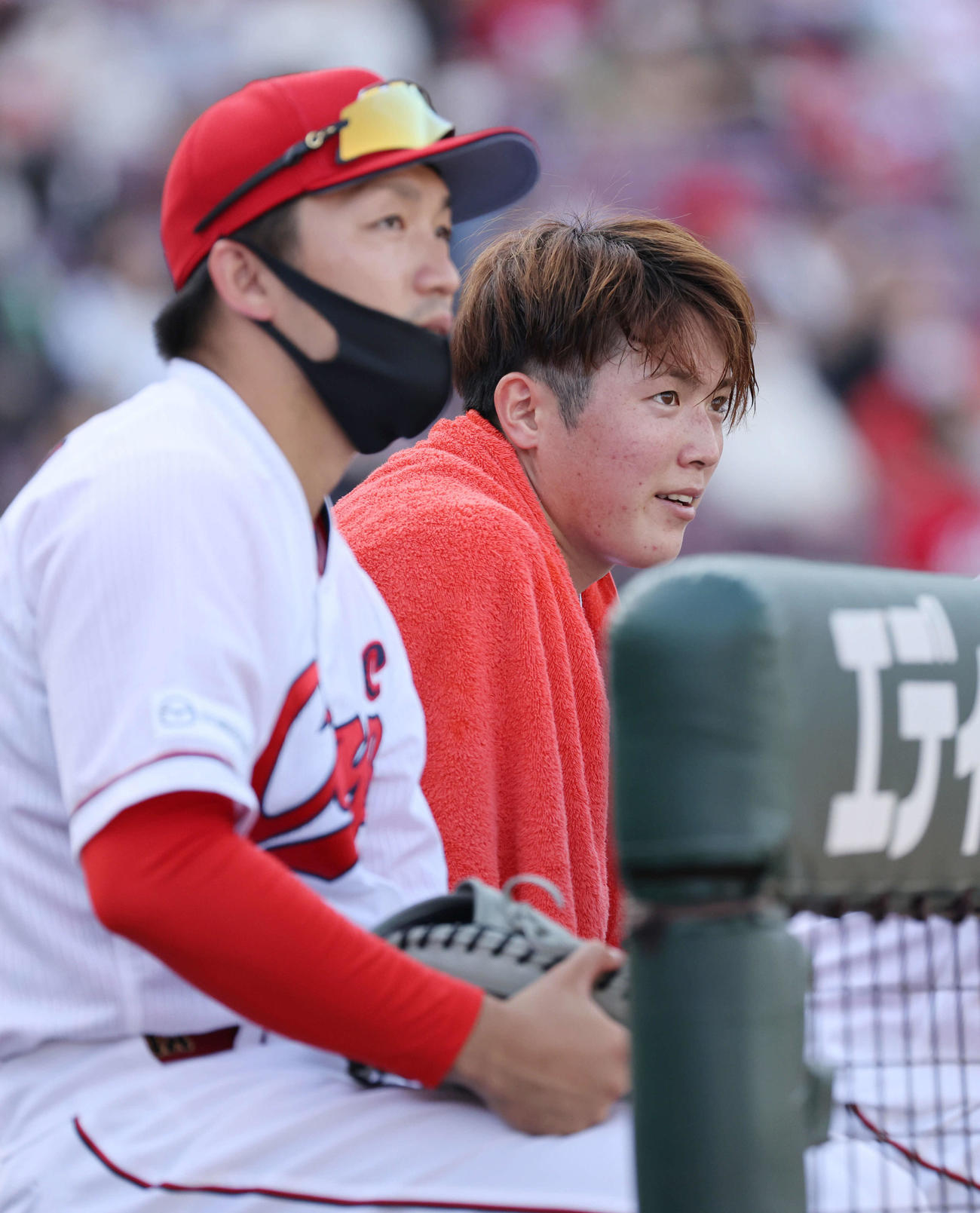 広島対ヤクルト　6回裏広島、ベンチの鈴木誠（左）と森下（撮影・加藤孝規）