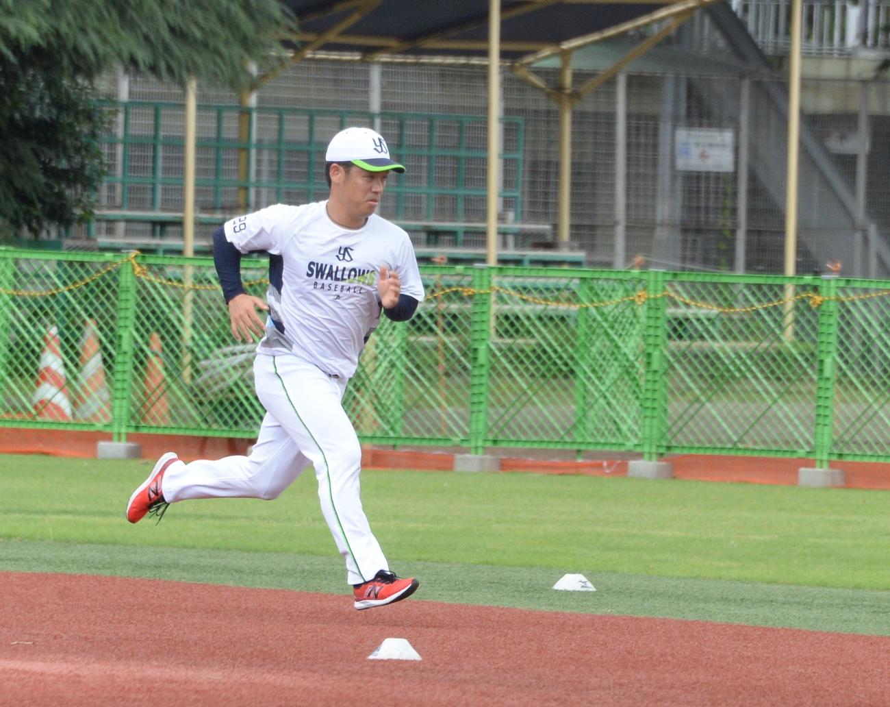 ダッシュで調整するヤクルト小川（撮影・鈴木正章）
