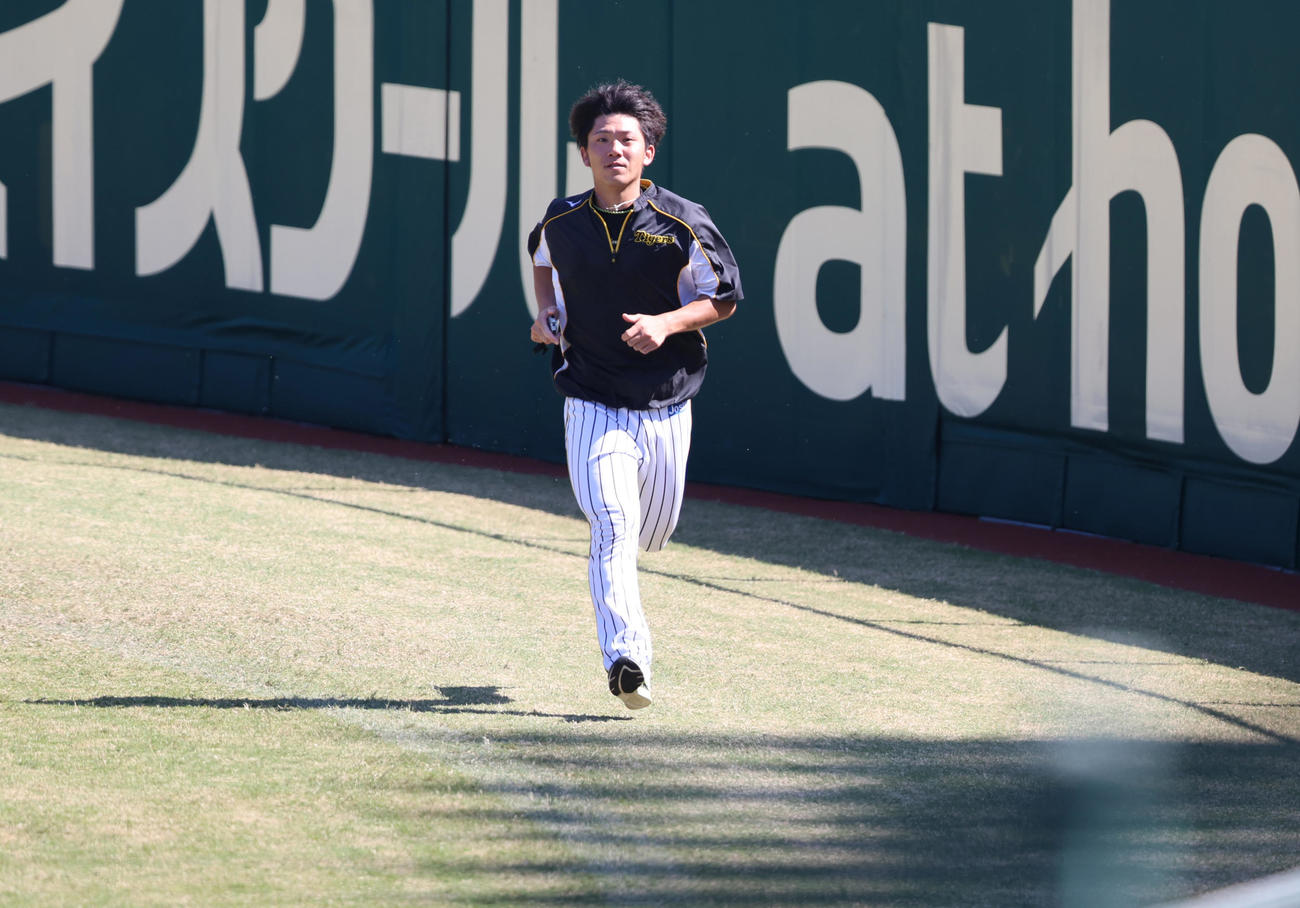 走り込みを行う阪神伊藤将司（撮影・清水貴仁）