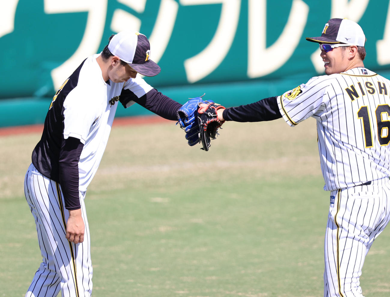 キャッチボールを終えタッチを交わす阪神青柳（左）と西勇輝（撮影・清水貴仁）