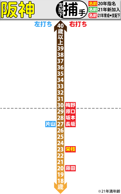 阪神支配下選手の年齢分布図。捕手編