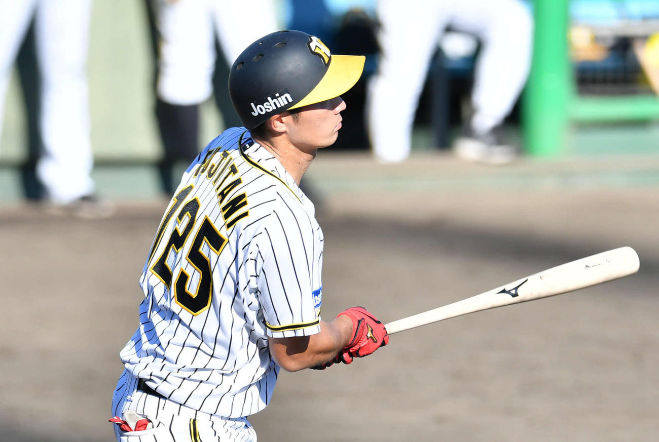 阪神藤谷洸介（2020年9月15日撮影）