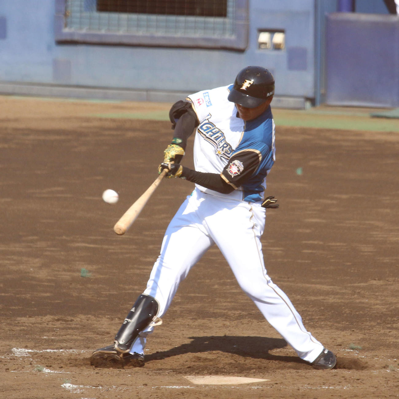 日本ハム清宮幸太郎（2021年9月23日撮影）