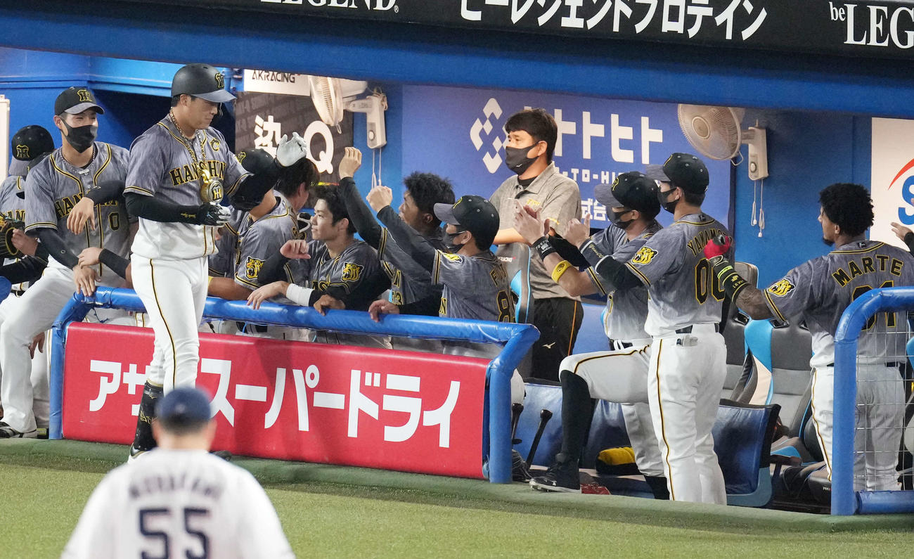 ヤクルト対阪神　4回表阪神2死、右越えソロ本塁打を放った大山（左から2人目）はナインと笑顔でハイタッチ（撮影・鈴木みどり）