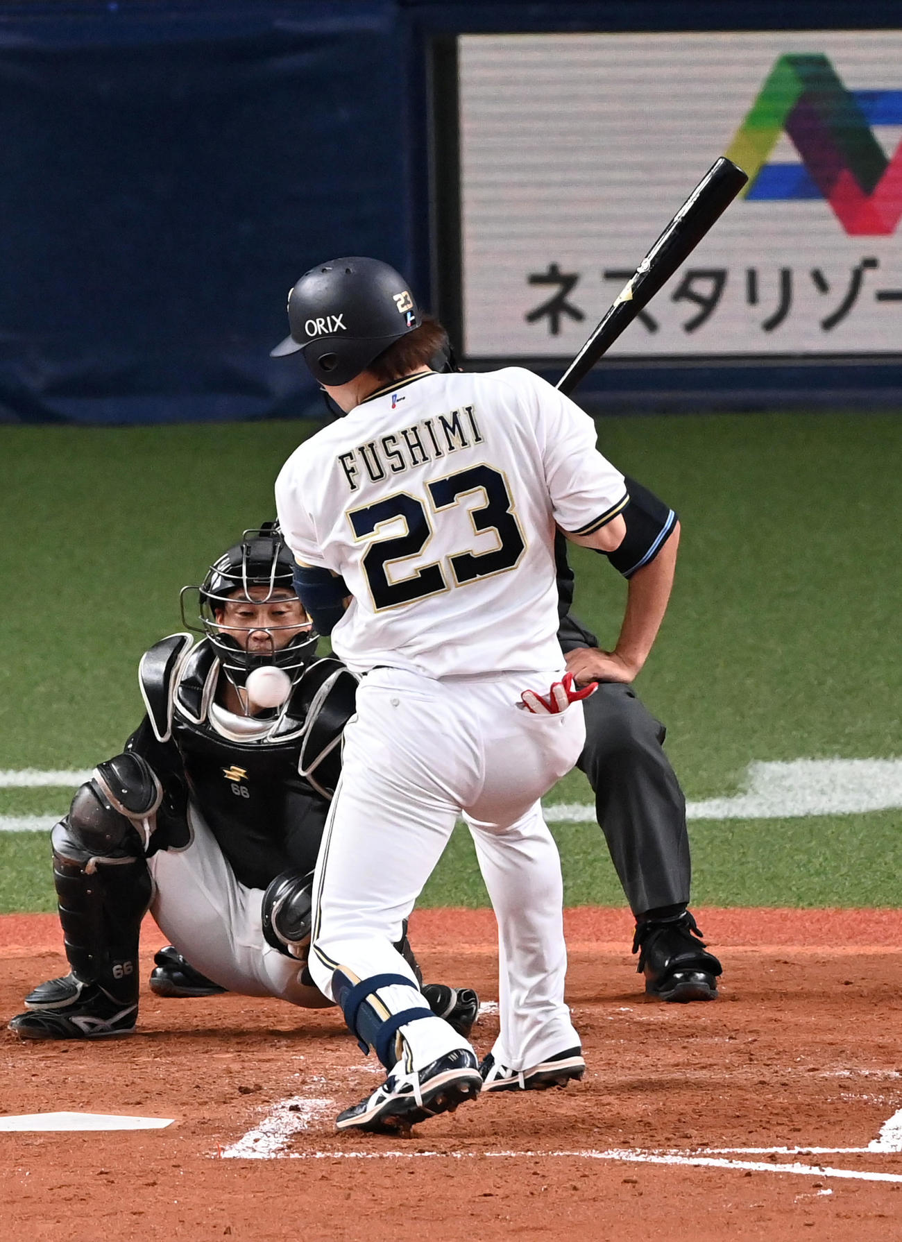 オリックス対ロッテ　3回裏オリックス無死、伏見は死球を受ける（撮影・前岡正明）