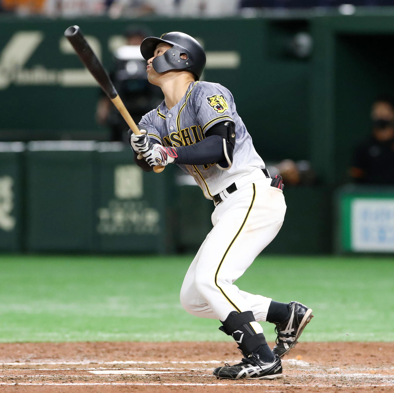 巨人対阪神　4回表阪神2死、坂本は左越え本塁打を放つ（撮影・加藤哉）