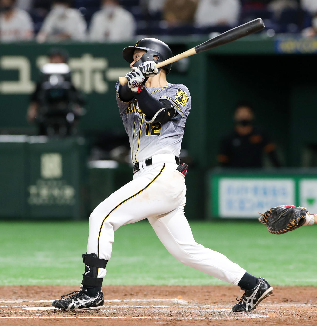 巨人対阪神　4回表阪神2死、坂本は左越え本塁打を放つ（撮影・加藤哉）
