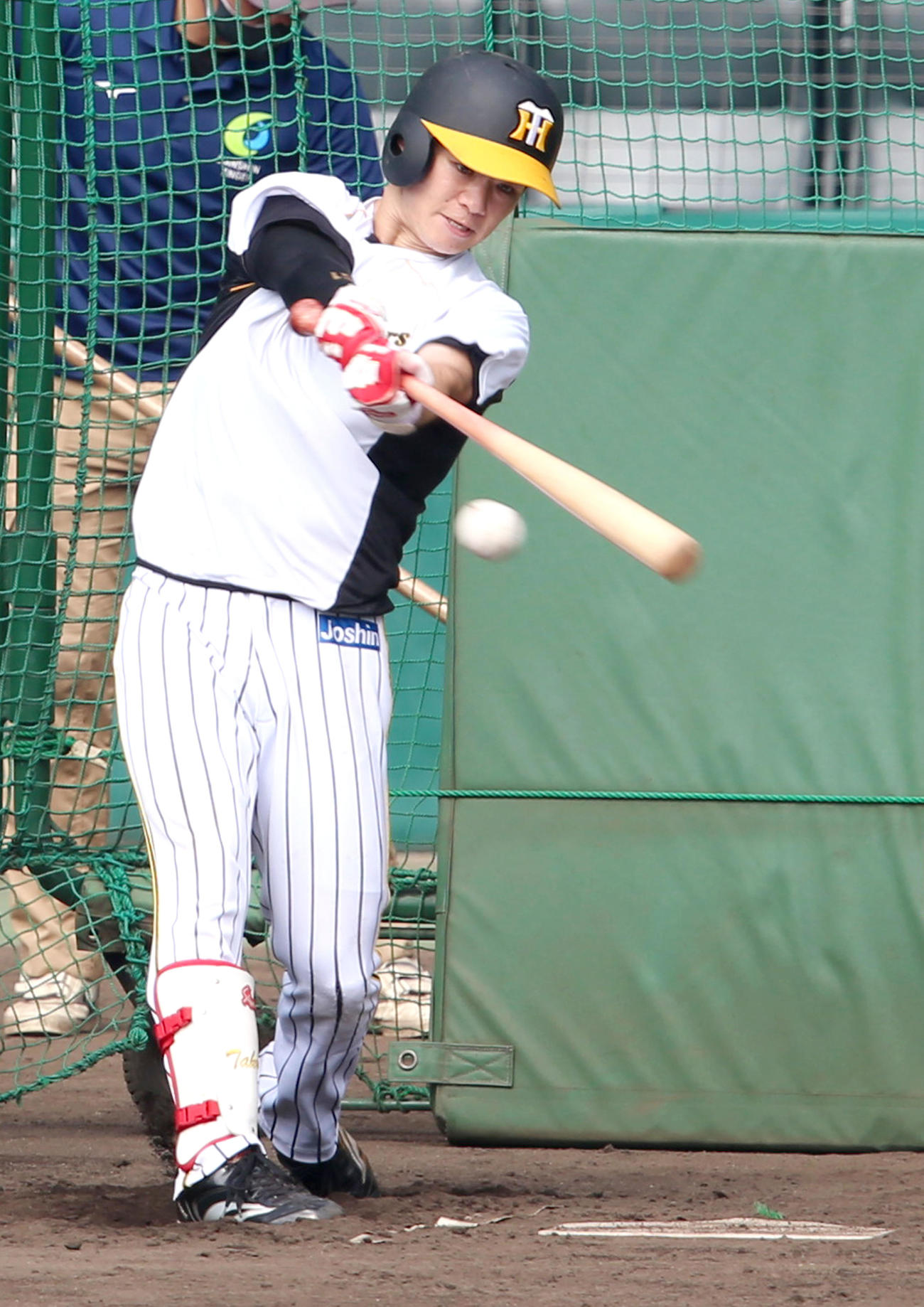 フリー打撃で汗を流す中野（撮影・上山淳一）