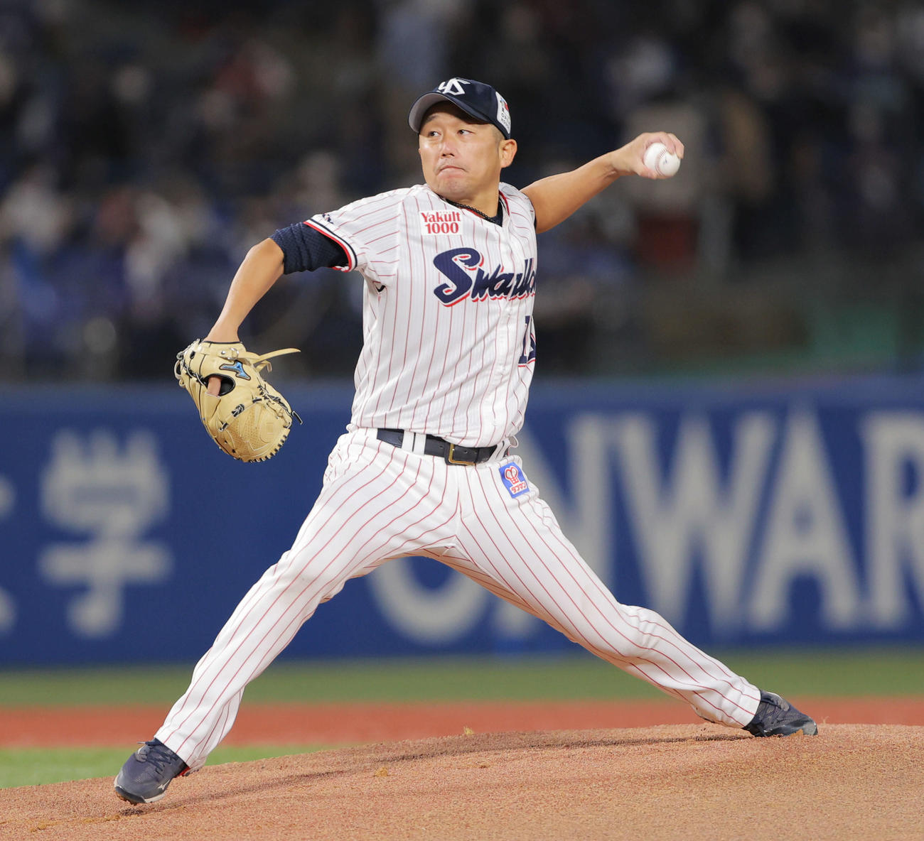ヤクルト対中日　ヤクルト先発の石川（撮影・河田真司）