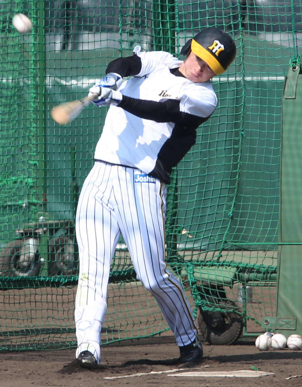 16日、フリー打撃を行う近本（撮影・上山淳一）