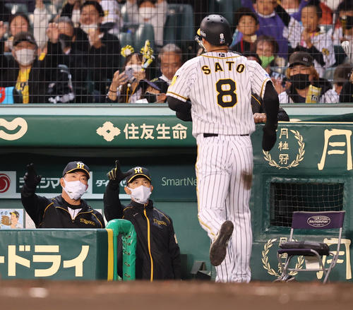 阪神対広島　3回裏阪神無死三塁、坂本の先制犠飛で生還した佐藤輝を出迎える矢野耀大監督（中央）（撮影・清水貴仁）