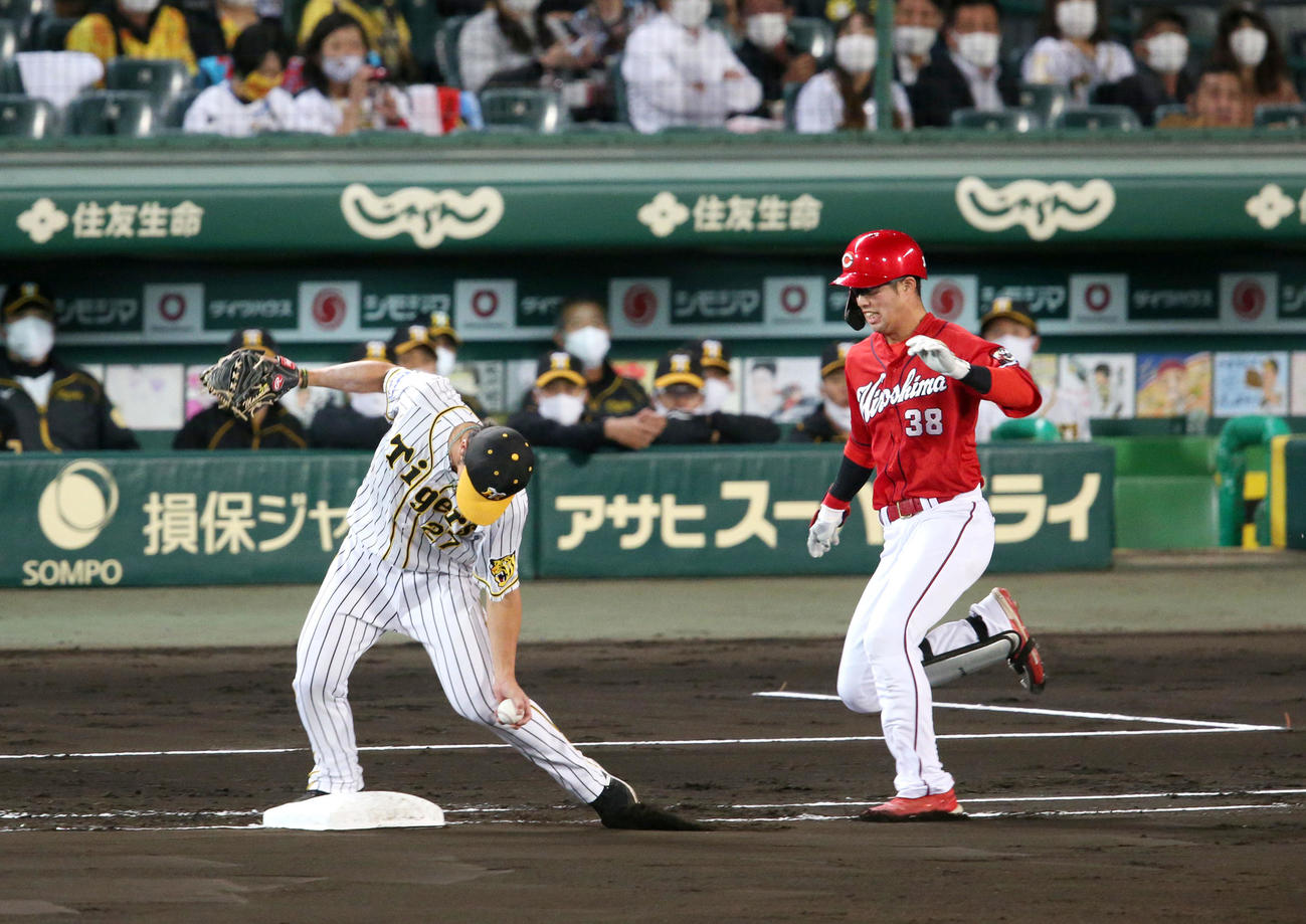 阪神対広島　4回表広島無死、伊藤将（左）は宇草（右）の一ゴロで捕球のマルテから、ボールを素手で受け一塁にカバーに入りアウトにする（撮影・上山淳一）