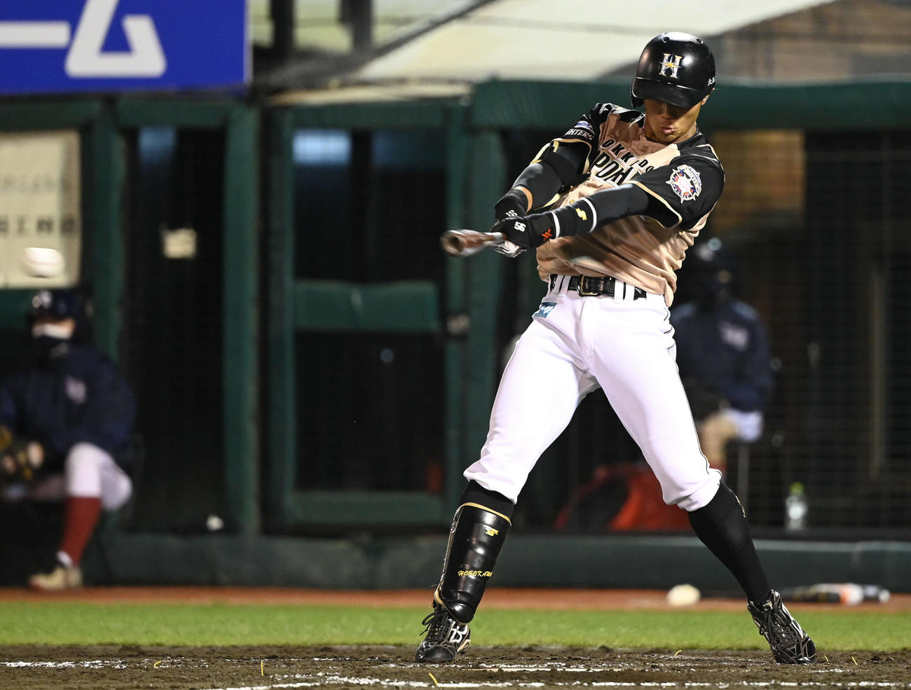 楽天対日本ハム　4回表日本ハム2死、細川はプロ初安打となる中前打を放つ（撮影・山崎安昭）