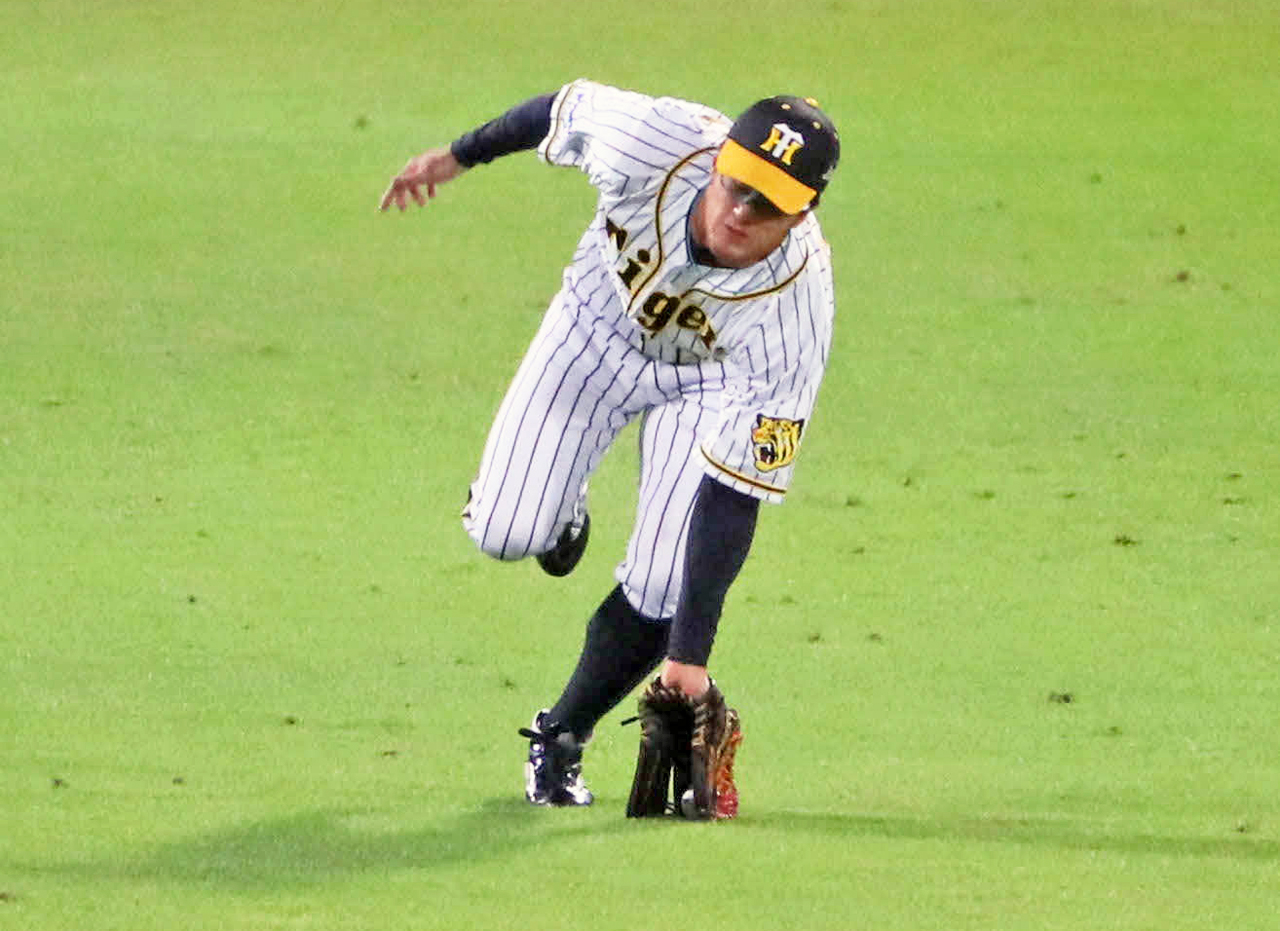 8回表広島無死一塁、板山は会沢の左直を好捕する（撮影・宮崎幸一）