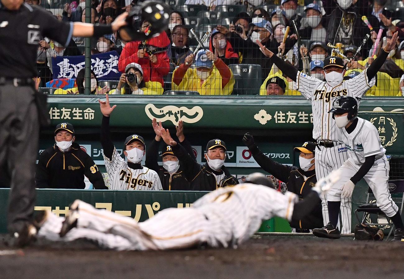 阪神対ヤクルト　4回裏阪神2死一、二塁、島田の適時打で木浪が生還しベンチでガッツポーズをする矢野監督（右から3人目）（撮影・上田博志）