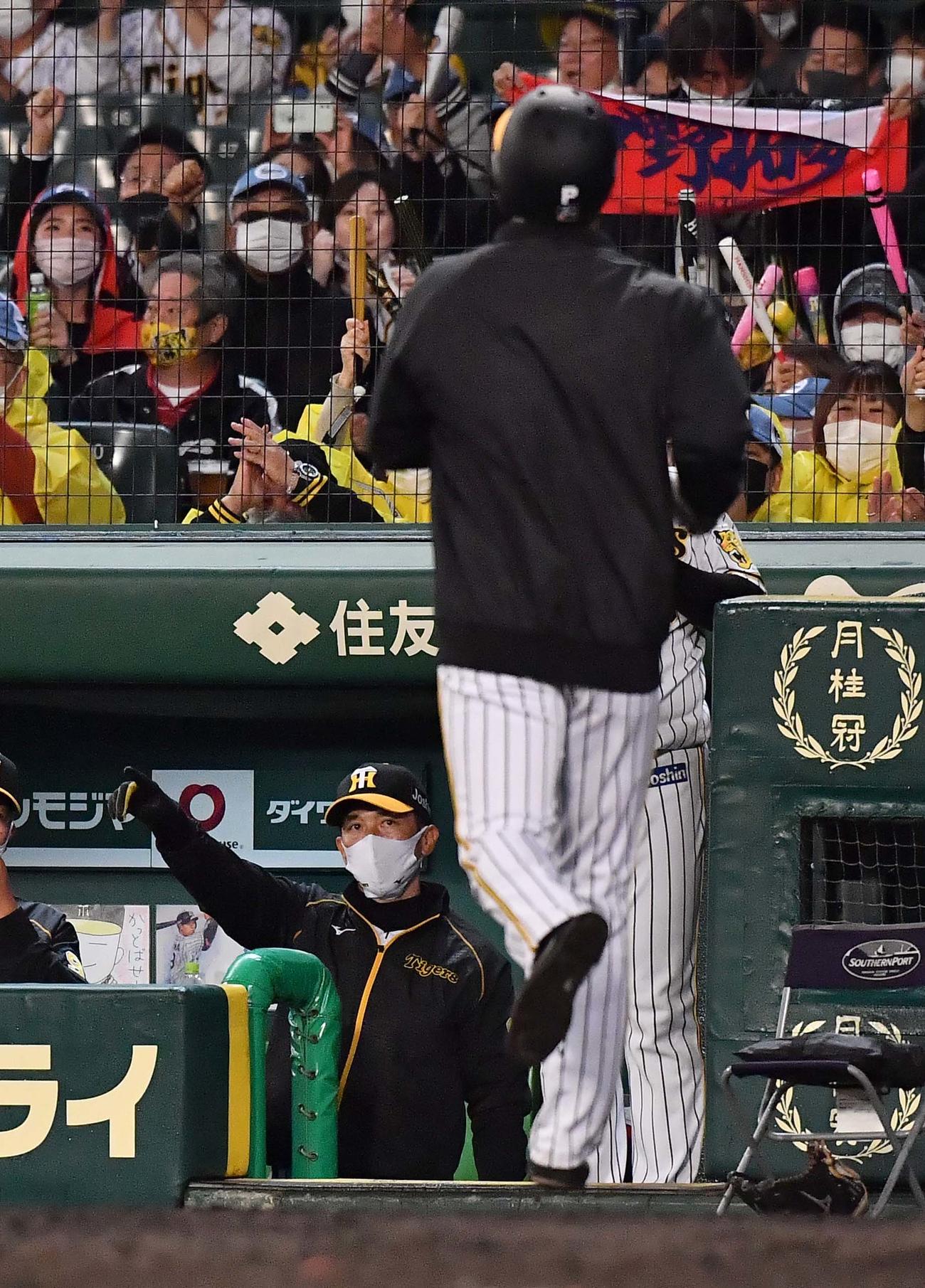 阪神対ヤクルト　4回裏阪神2死一、二塁、中野拓夢の右前適時打で三塁を回り生還した青柳晃洋をベンチで出迎える矢野燿大監督（撮影・上田博志）