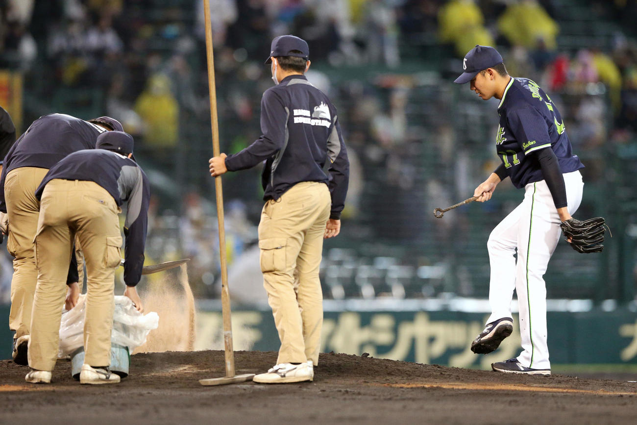 阪神対ヤクルト　ヤクルト先発・奥川（右）を横に、マウンドに土を入れる阪神園芸の職員（撮影・上山淳一）