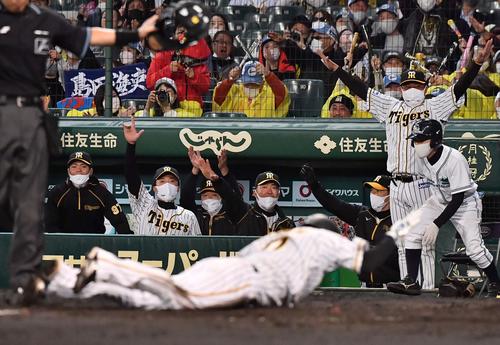 阪神対ヤクルト　4回裏阪神2死一、二塁、島田の適時打で木浪が生還しベンチでガッツポーズをする矢野監督（右から3人目）（撮影・上田博志）