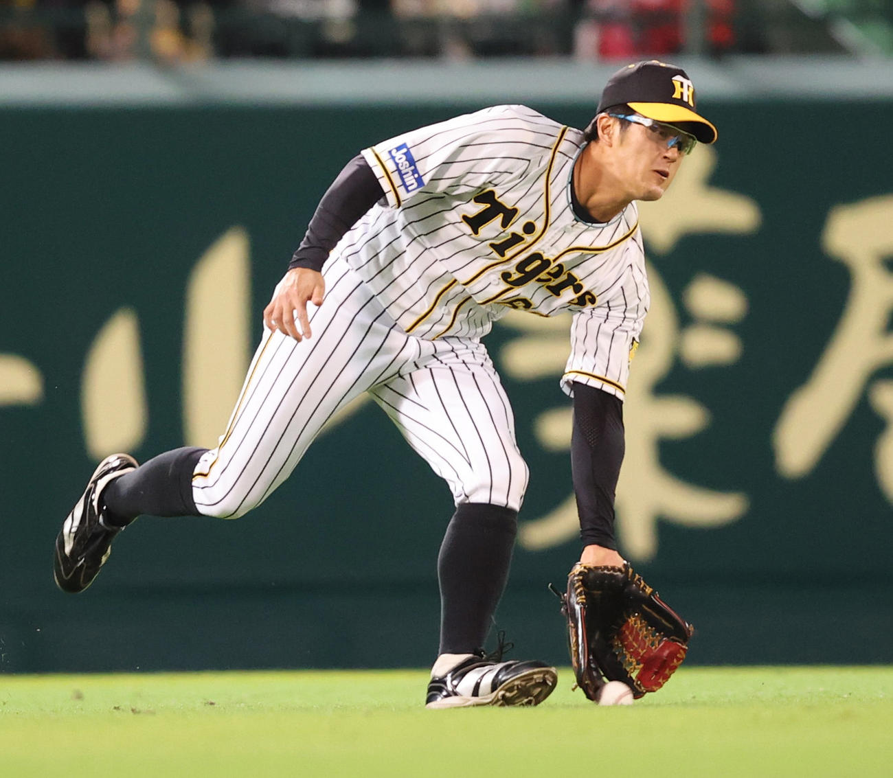 2021年10月18日、阪神対広島　8回表広島無死一塁、会沢の打球を前に出て捕球する左翼手板山（撮影・清水貴仁）