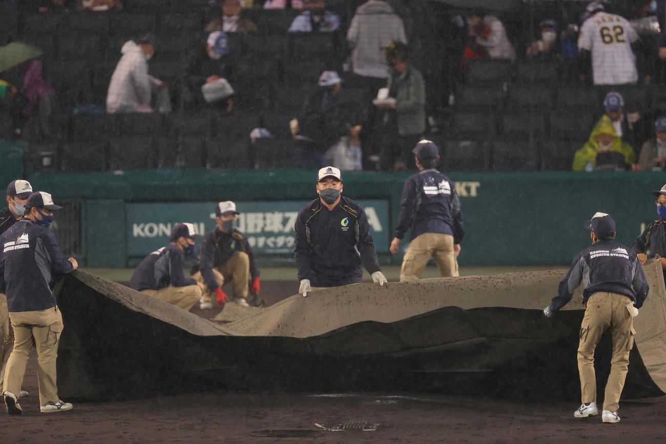 阪神対ヤクルト　4回裏阪神の攻撃前、降雨により試合が中断しマウンドにシートをかける阪神園芸の職員ら（撮影・前田充）