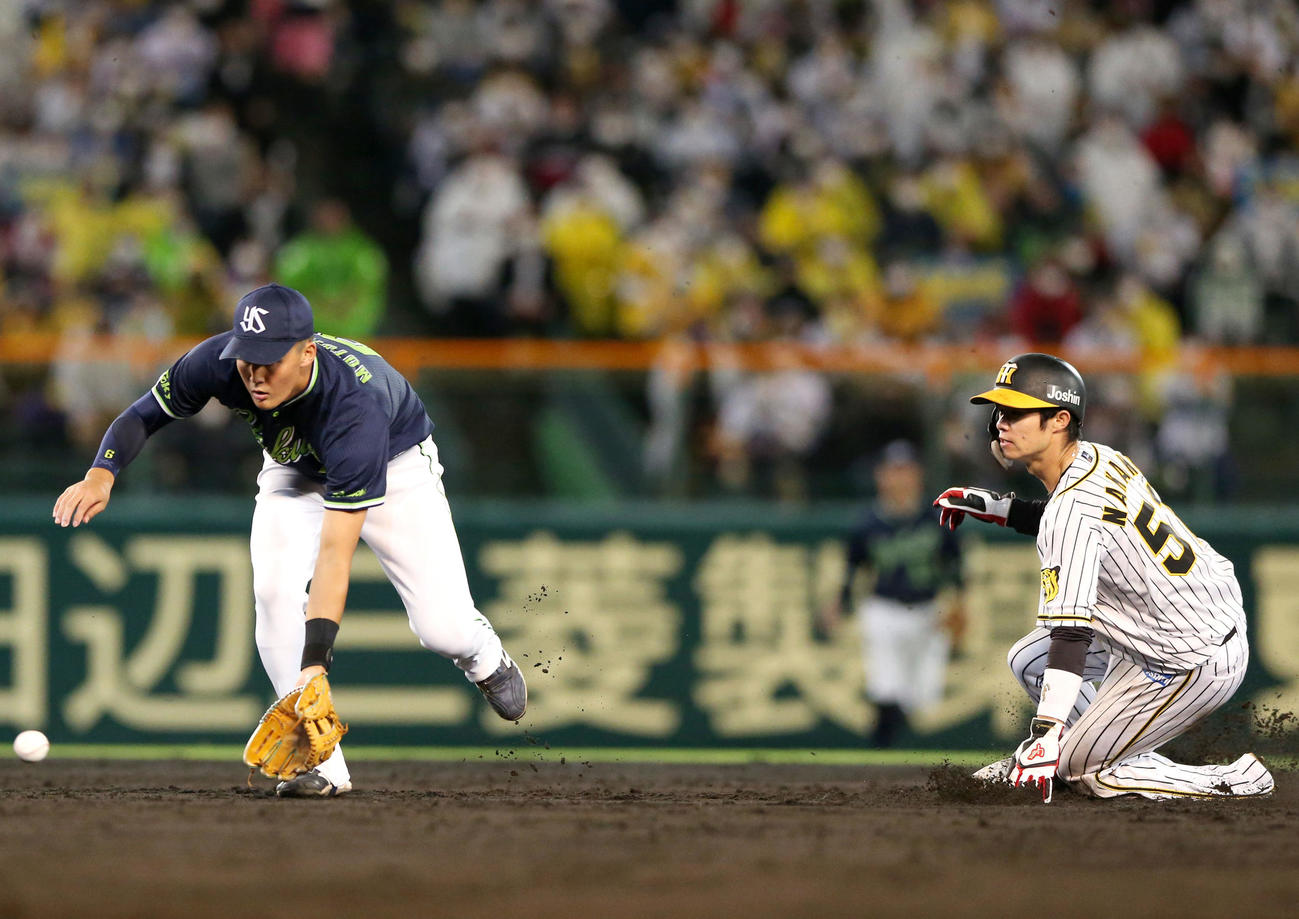 阪神対ヤクルト　4回裏阪神2死一、三塁、打者近本の時、中野（右）は二盗を決める（撮影・上山淳一）