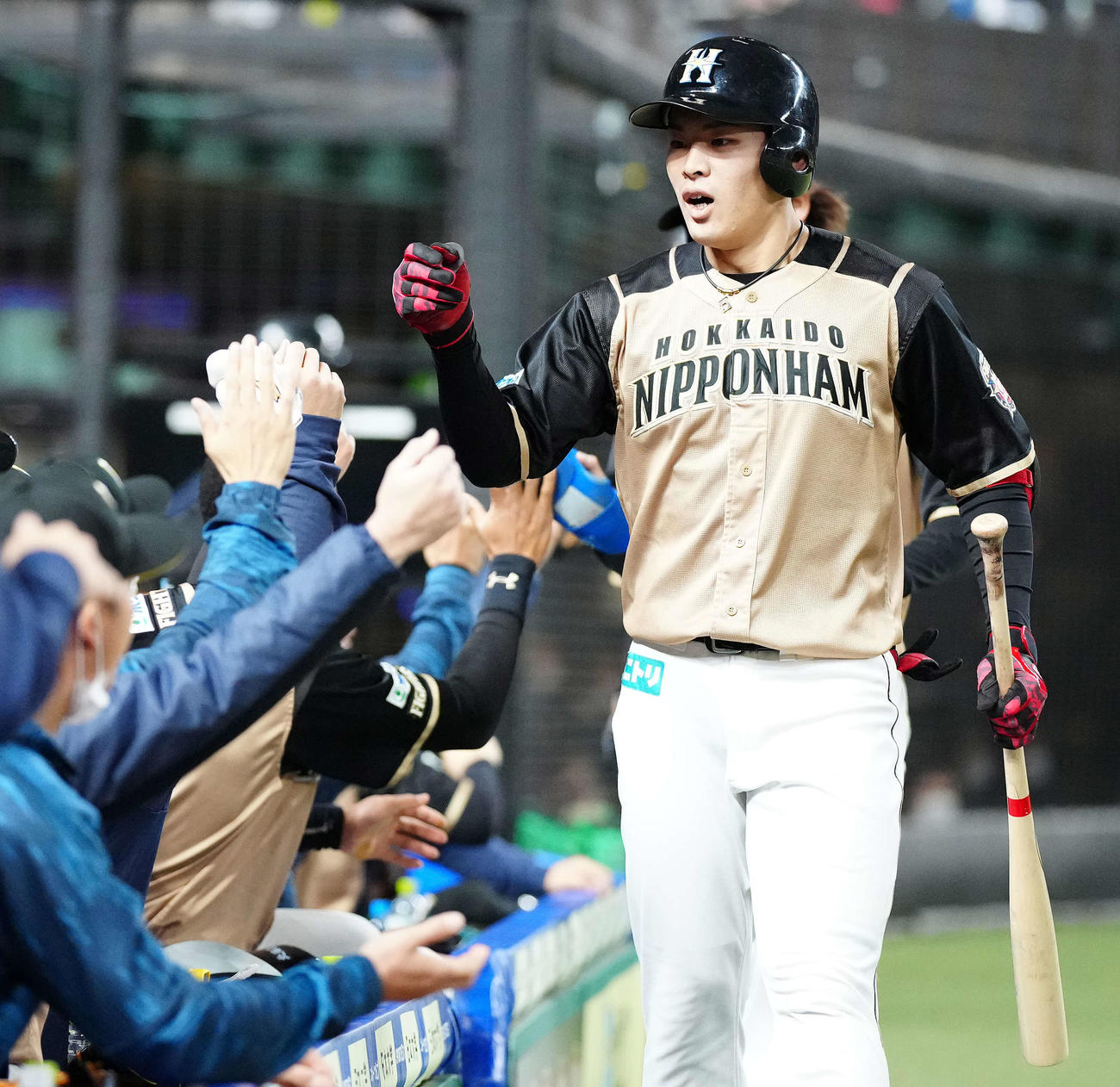 西武対日本ハム　5回表日本ハム2死一、二塁、3点本塁打を放ちベンチでタッチをかわす野村（撮影・江口和貴）