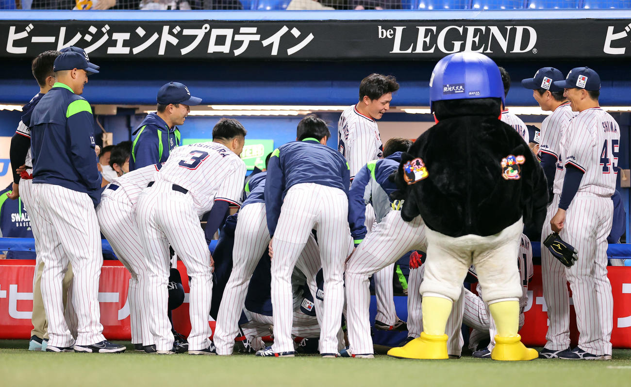 ヤクルト対広島　円陣を組むヤクルトナイン（撮影・浅見桂子）